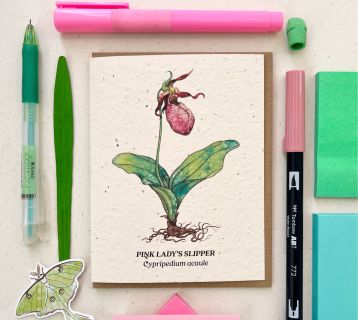 Small%20victories Lady Slipper Flat Thornes